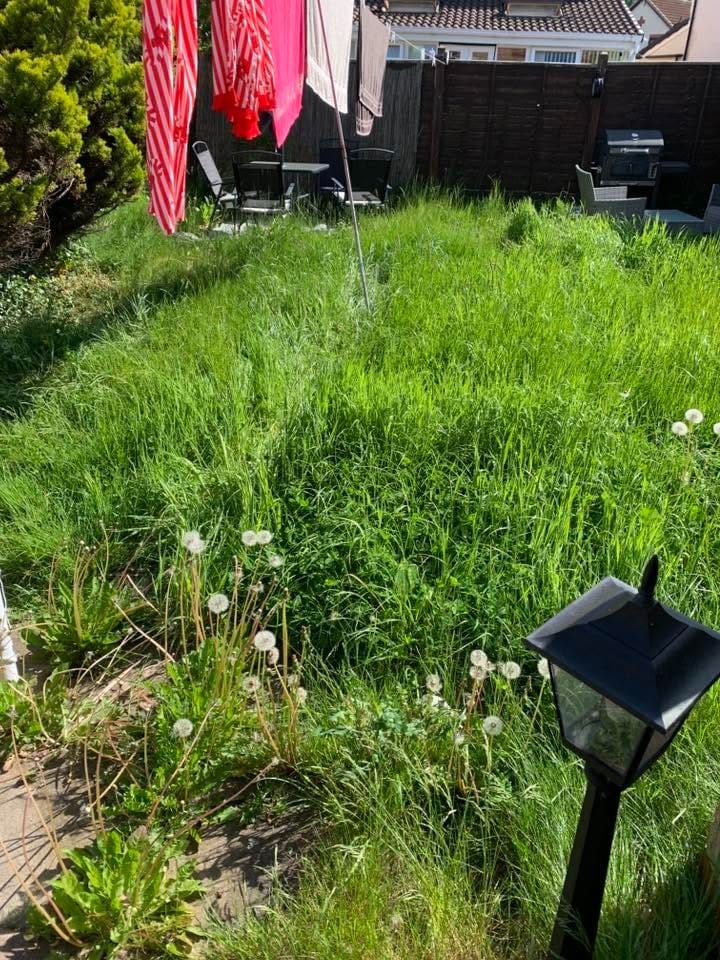 Before: overgrown grass along the border by a solar light