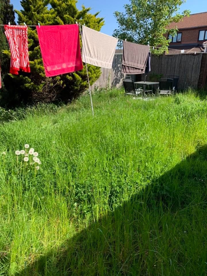 A Middlesbrough back garden before and after the overgrown lawn was strimmed, cut and edged