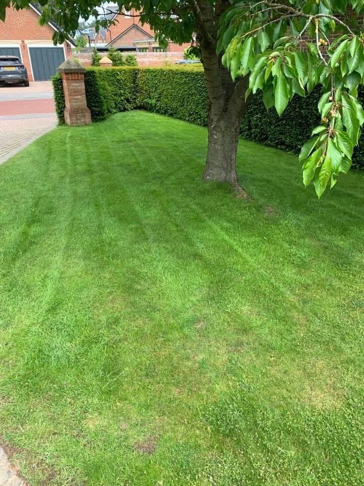A clean lawn edge by the path